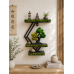 Raft perete in stil zen, VeliumCraft, 35x27x9.5 cm, cu licheni naturali, cu bonsai pentru relaxare in living sau dormitor, plastic abs Raft perete in stil zen, VeliumCraft, 35x27x9.5 cm, cu licheni naturali, cu bonsai pentru relaxare in living sau dormitor, plastic abs
