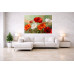 Tablou Canvas Dansul macilor 2, 80 x 50 cm, natura, peisaj, stil pictura, sasiu de lemn, panza de bumbac 90%, agatatoare invizibila Tablou Canvas Dansul macilor 2, 80 x 50 cm, natura, peisaj, stil pictura, sasiu de lemn, panza de bumbac 90%, agatatoare invizibila