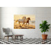 Tablou Canvas Cai alergand pe coasta, mare, print stil pictura, 80x50 cm, sasiu de lemn, panza de bumbac 90%, agatatoare invizibila
