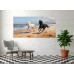 Tablou Canvas Cai alergand pe coasta 3, mare, print stil pictura, 90x40 cm, sasiu de lemn, panza de bumbac 90%, agatatoare invizibila Tablou Canvas Cai alergand pe coasta 3, mare, print stil pictura, 90x40 cm, sasiu de lemn, panza de bumbac 90%, agatatoare invizibila