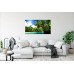Palmieri, Rezervatie, Natura, 90 x 50 cm, Multicolor Palmieri, Rezervatie, Natura, 90 x 50 cm, Multicolor
