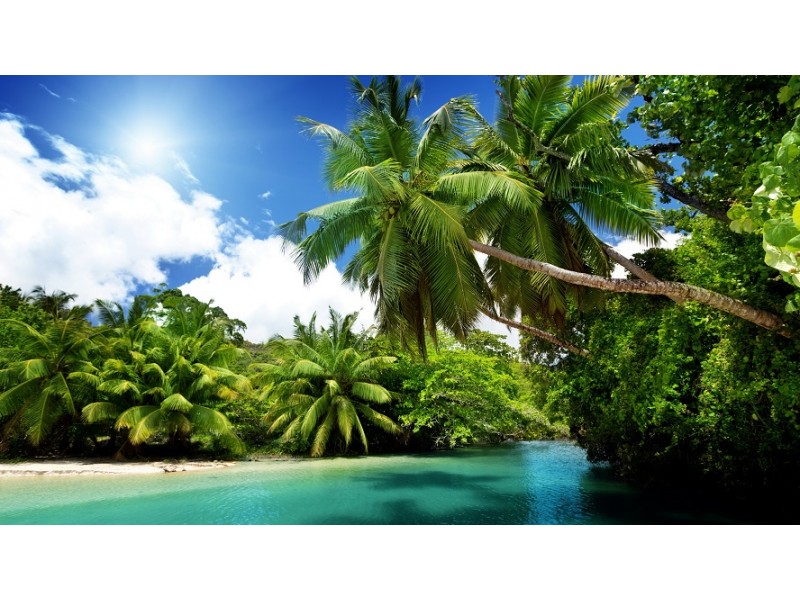 Laguna albastra, 90 x 50 cm, Rama lemn, Multicolor Laguna albastra, 90 x 50 cm, Rama lemn, Multicolor