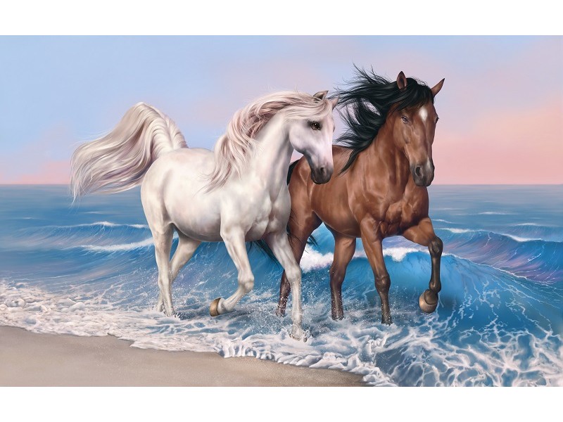 Cai alergand, 80 x 50 cm, Rama lemn, Multicolor Cai alergand, 80 x 50 cm, Rama lemn, Multicolor