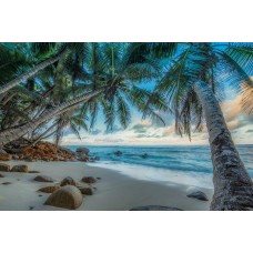 Palmieri, Nisip, Ocean, 90 x 60 cm, Rama lemn, Multicolor