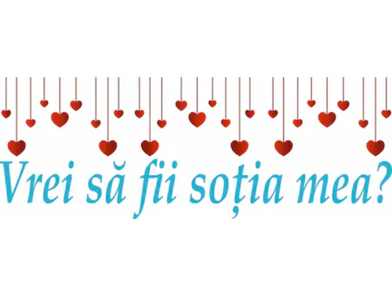 Banner cu textul "VREI SA FII SOTIA MEA?", 275x100cm Banner cu textul "VREI SA FII SOTIA MEA?", 275x100cm